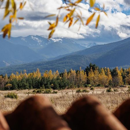 Green Wood Hotel & Spa Bansko Ngoại thất bức ảnh